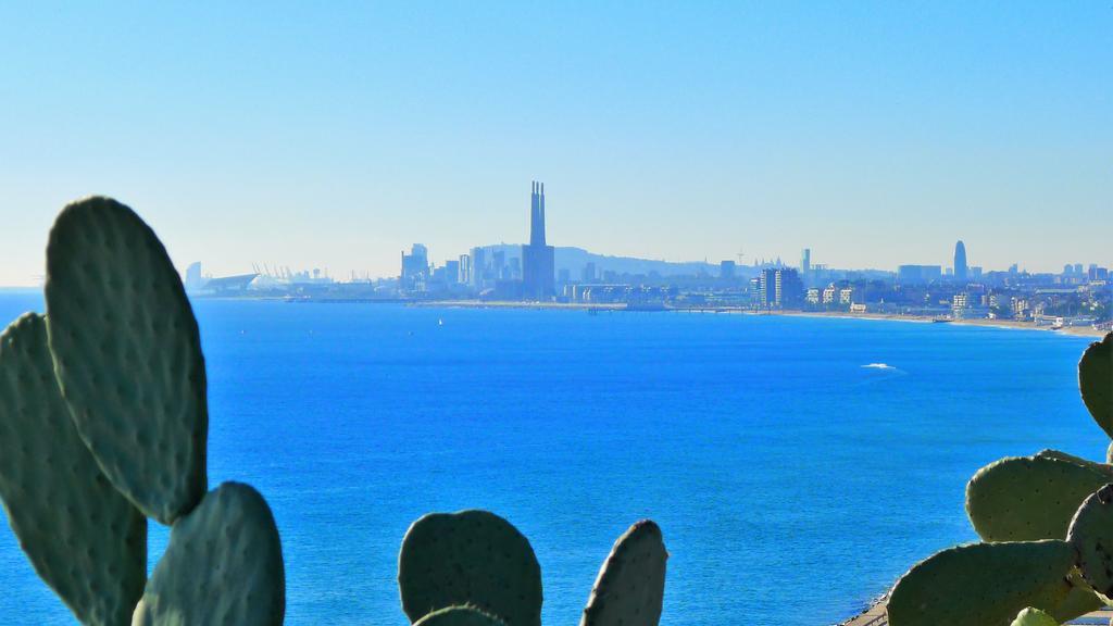 Helena Seaview & Beach-Apartment モンガット エクステリア 写真